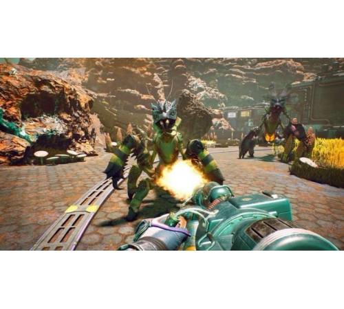 PS4 The Outer Worlds (PS4)