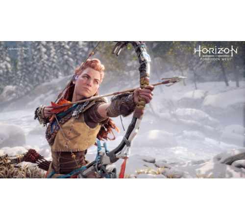 PS5 Horizon Forbidden West (PS5)