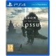 PS4 Shadow of the Colossus: В тени колосса (PS4)