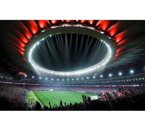 Nintendo EA Sports FC 24 (Nintendo Switch, Русская версия)