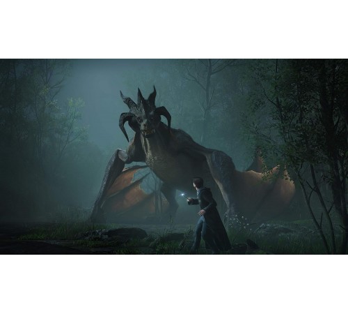 Hogwarts Legacy (PS5, Русская версия)