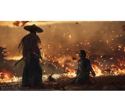 Ghost of Tsushima Playstation 4 |  Призрак Цусимы PS4 доставка по Беларуси