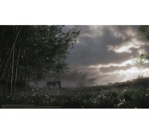 Ghost of Tsushima Playstation 4 |  Призрак Цусимы PS4 доставка по Беларуси