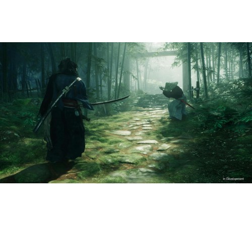 Rise of the Ronin (PS5, Русская версия)